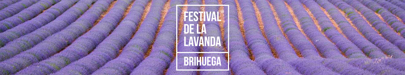 Festival de la lavanda de Brihuega