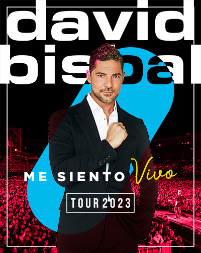 Concierto David Bisbal en Jaén