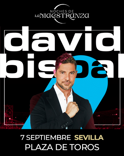 Concierto David Bisbal - Noches de la Maestranza en Sevilla