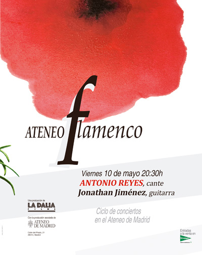 Concierto Ateneo Flamenco - Antonio Reyes en Madrid