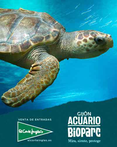 Entradas Bioparc Acuario Gijón en Asturias