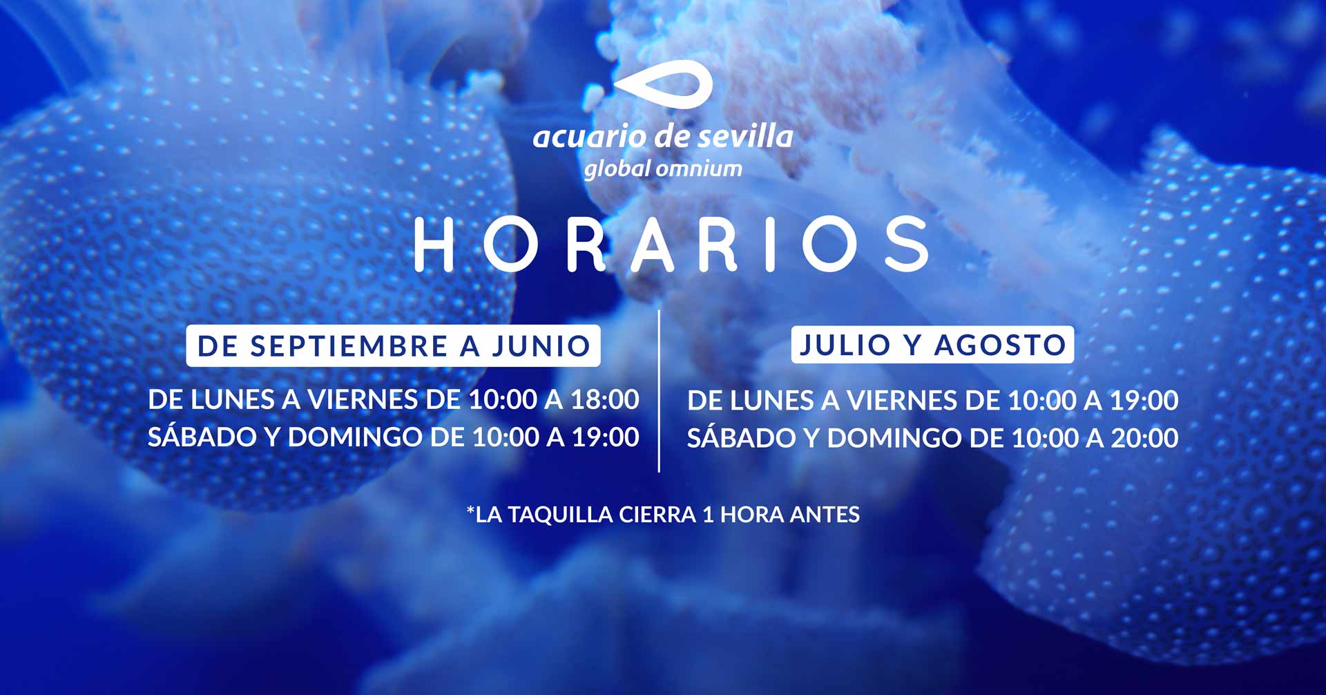 https://ecientradasproprofd-asf0hegvb5f9aegc.a03.azurefd.net/image_uploads/attachments/000/012/966/AcuarioDeSevillaHorarios-2024.jpg