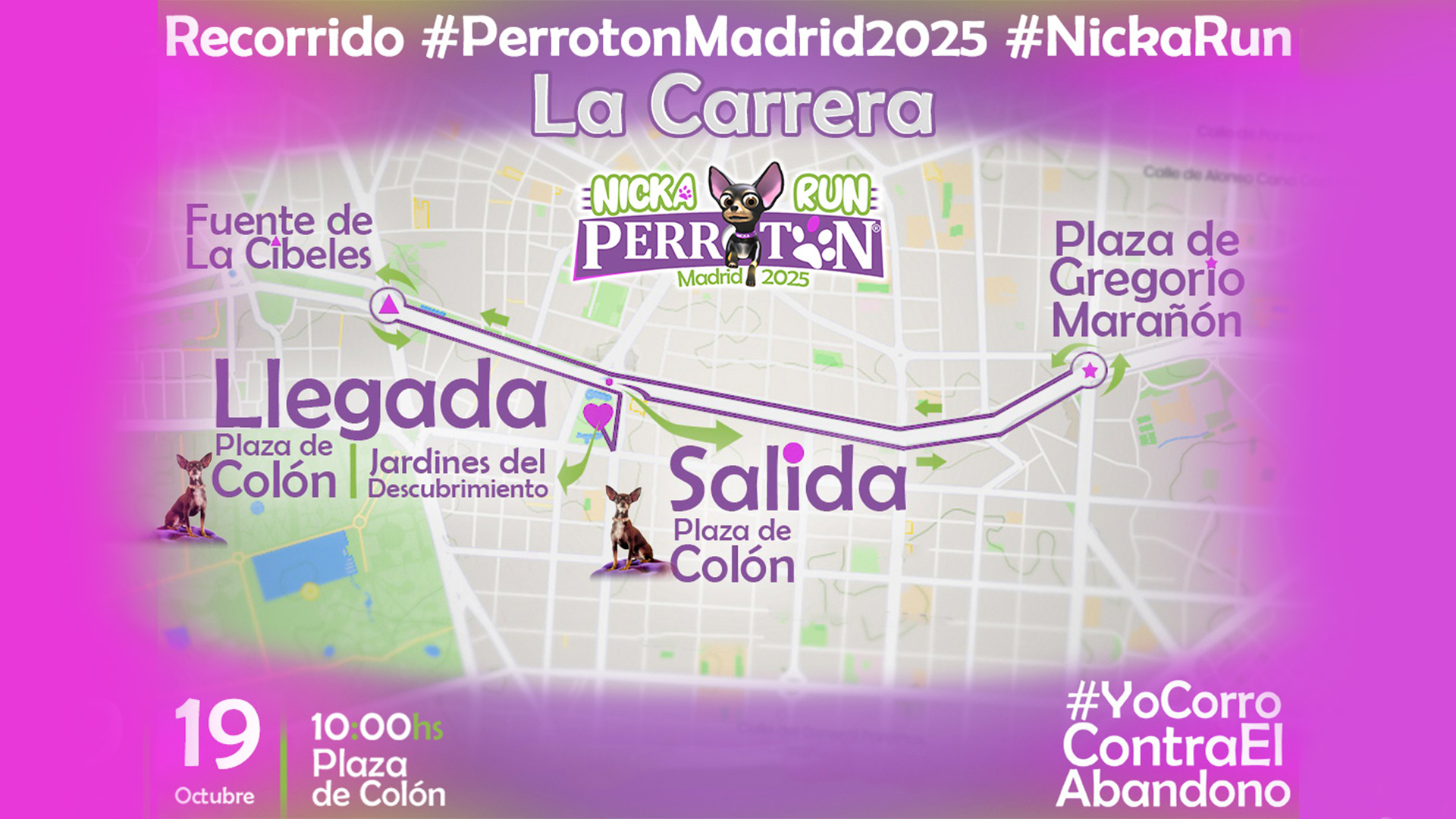 https://ecientradasproprofd-asf0hegvb5f9aegc.a03.azurefd.net/image_uploads/attachments/000/015/742/Perroton25003-recorridonuevo.jpg