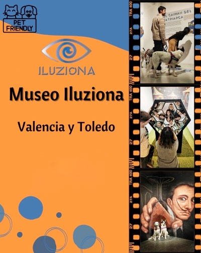 Entradas Museo Iluziona. en Valencia