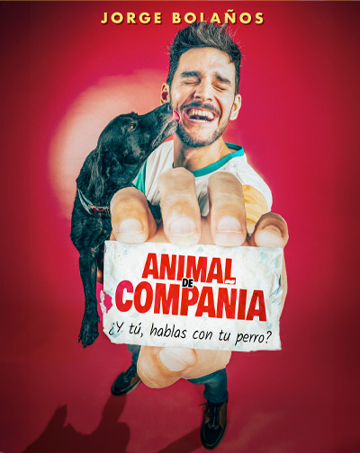 Animal de Compañía - Jorge Bolaños en Valladolid