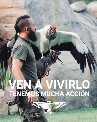 Entradas Visitas Faukana - Jornadas Salvajes en Madrid