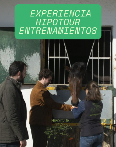 Entradas Experiencia Hipotour Entrenamientos en Madrid